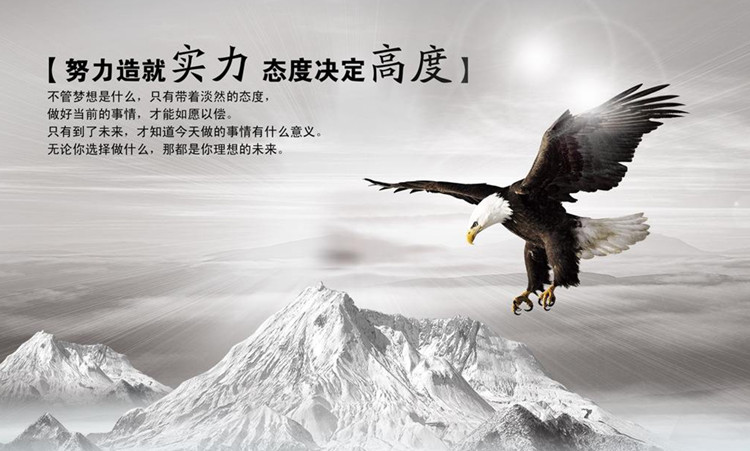 Lexin公司的企業文化：努力造就實力，態度決定高度